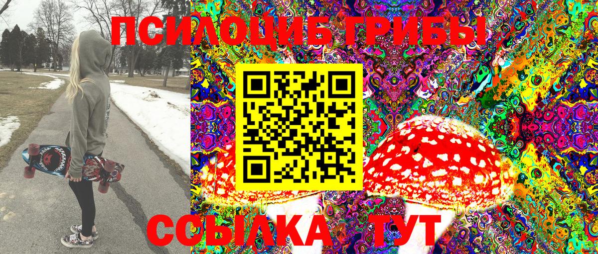 Галлюциногенные грибы Psilocybine cubensis Янаул