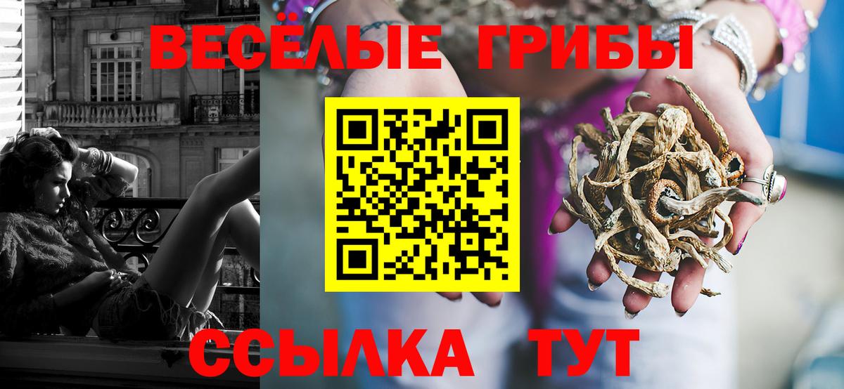 Псилоцибиновые грибы Psilocybine cubensis  Галлюциногенные грибы Psilocybe  Вход с VPN  Янаул 